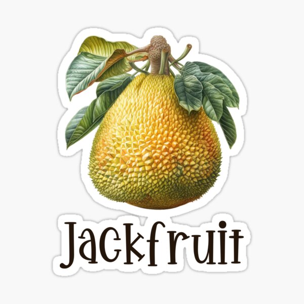 Jackfruit Merch & Gifts for Sale