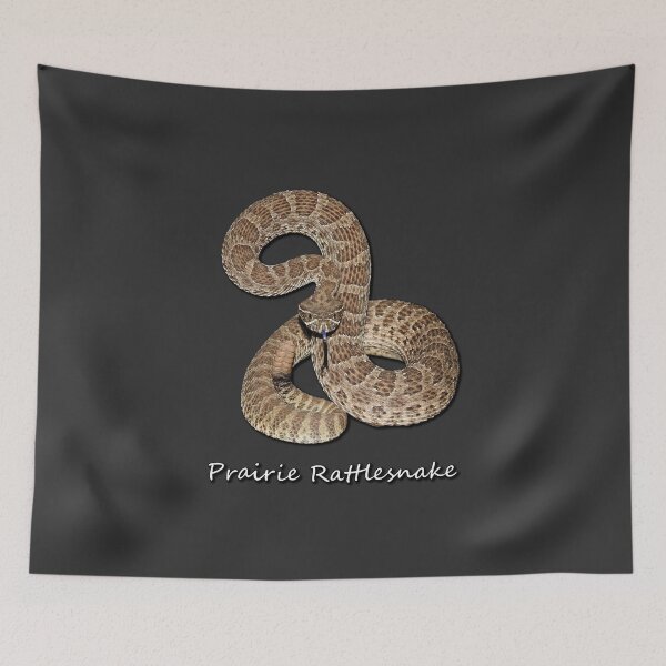 Item preview, Prairie Rattlesnake designed and sold by Paul-Prints.