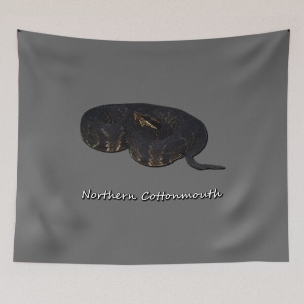 Item preview, Northern Cottonmouth designed and sold by Paul-Prints.