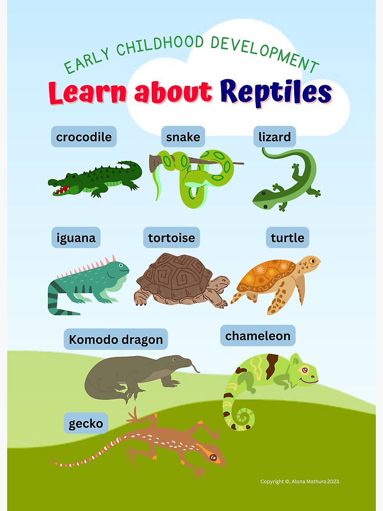 Learn about Reptiles Classroom Poster/Chart other School/Home Learning  Supplies Gifts Art Board Print