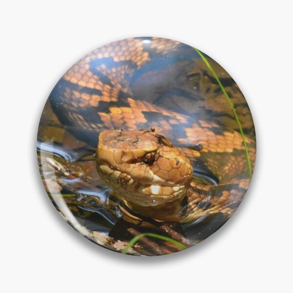 Item preview, Hypo Northern Cottonmouth designed and sold by Paul-Prints.