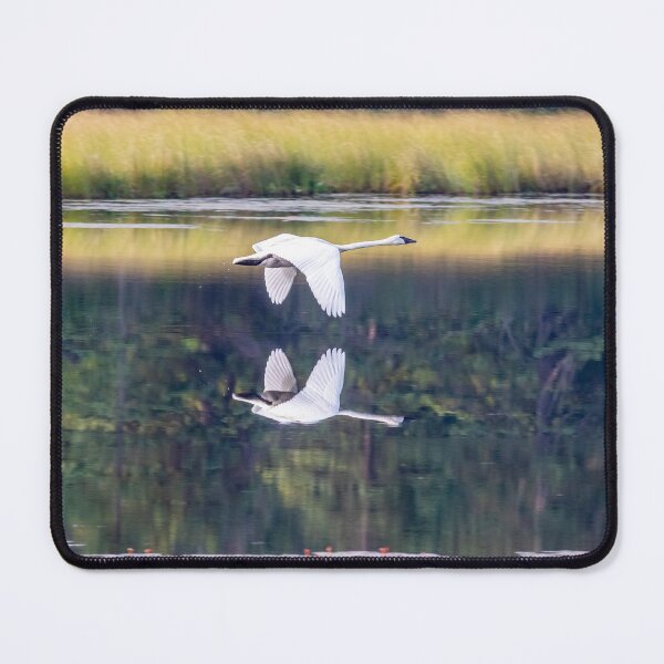 Item preview, Flying Goose Reflected in A Still Pond designed and sold by Traingeek Images.