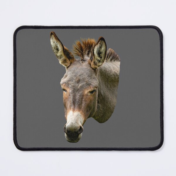 Item preview, Head of a Miniature Donkey designed and sold by Dalyndigital Photography.