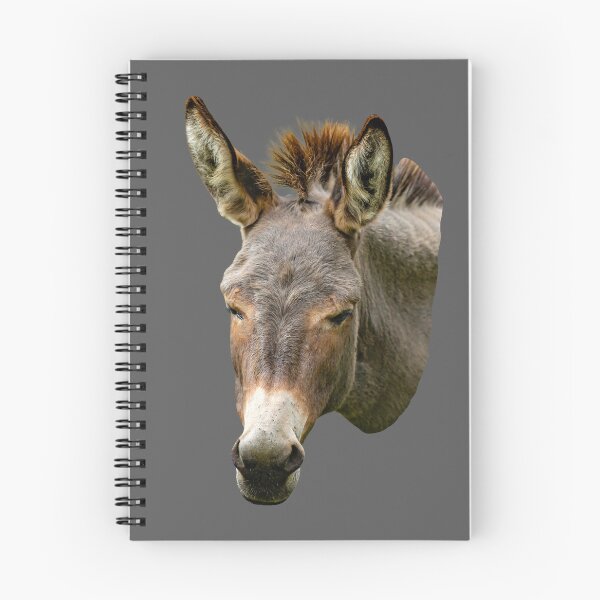 Item preview, Head of a Miniature Donkey designed and sold by Dalyndigital Photography.