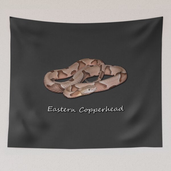 Item preview, Eastern Copperhead designed and sold by Paul-Prints.