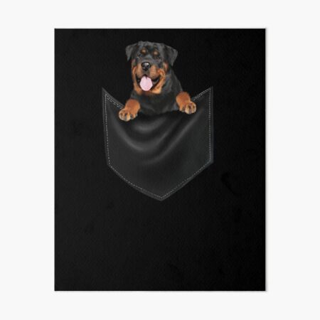 Rottweiler Dog Art Board Prints for Sale