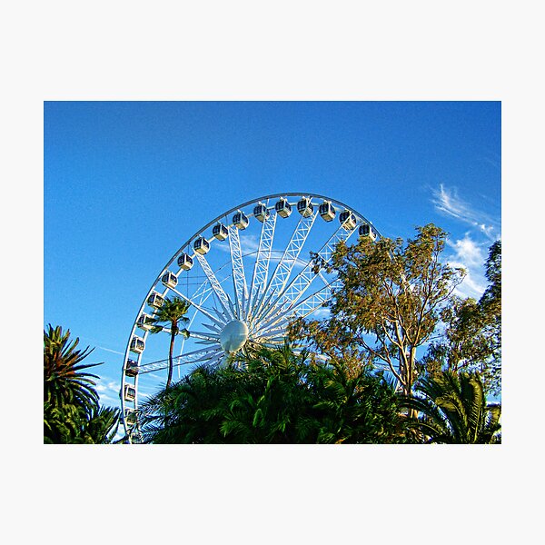Perth Foreshore Ferris Wheel Photographic Print