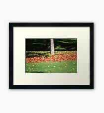 Autum Framed Print