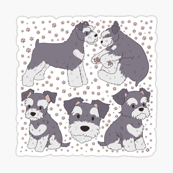 Gray's Miniature Schnauzers - Miniature Schnauzer Puppies and Great  Pyrenees Puppies and Gifts