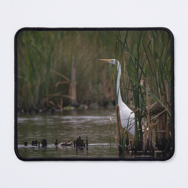 Item preview, Great Egret on the lake designed and sold by StelleryART.