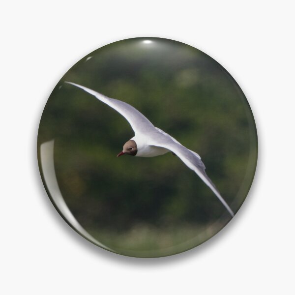Item preview, Black Headed Gull in Flight designed and sold by StelleryART.