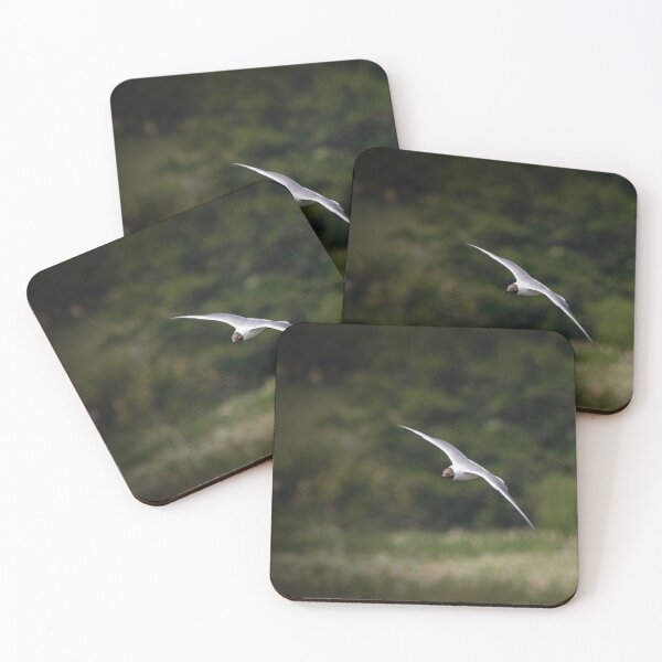 Item preview, Black Headed Gull in Flight designed and sold by StelleryART.