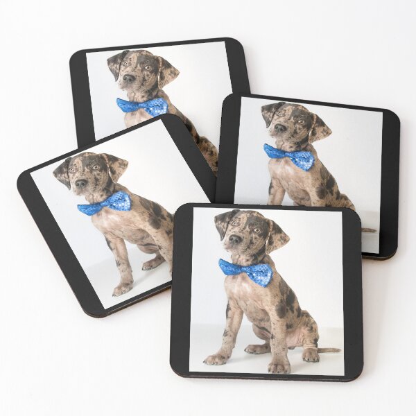 Item preview, Catahoula Leopard Dog,Funny Gift designed and sold by your-t-shirts55.