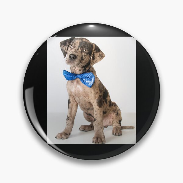 Item preview, Catahoula Leopard Dog,Funny Gift designed and sold by your-t-shirts55.