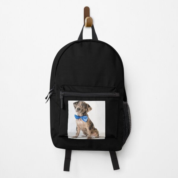 Item preview, Catahoula Leopard Dog,Funny Gift designed and sold by your-t-shirts55.