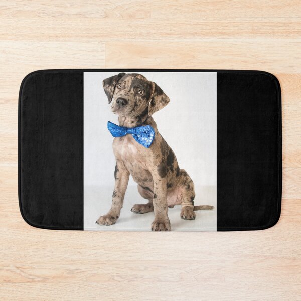 Item preview, Catahoula Leopard Dog,Funny Gift designed and sold by your-t-shirts55.