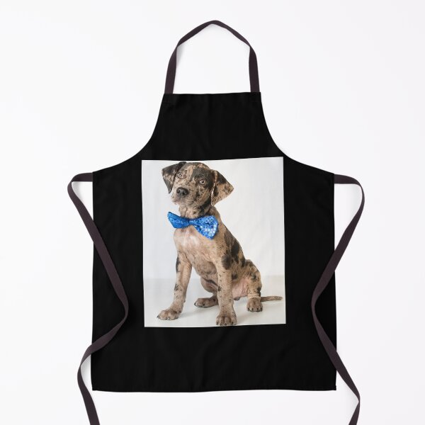 Item preview, Catahoula Leopard Dog,Funny Gift designed and sold by your-t-shirts55.