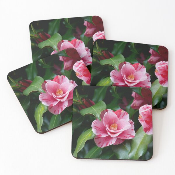 Item preview, Hidden Rose designed and sold by sarahhillphotos.