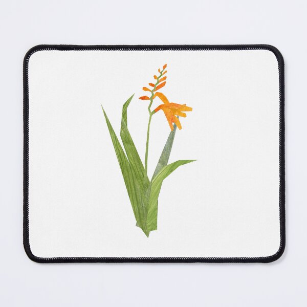 Item preview, Crocosmia designed and sold by BabbanGaelg.