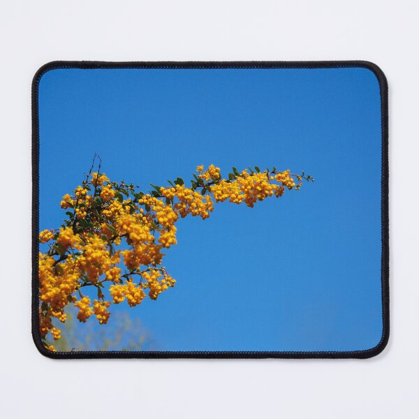 Item preview, Yellow and Blue designed and sold by sarahhillphotos.