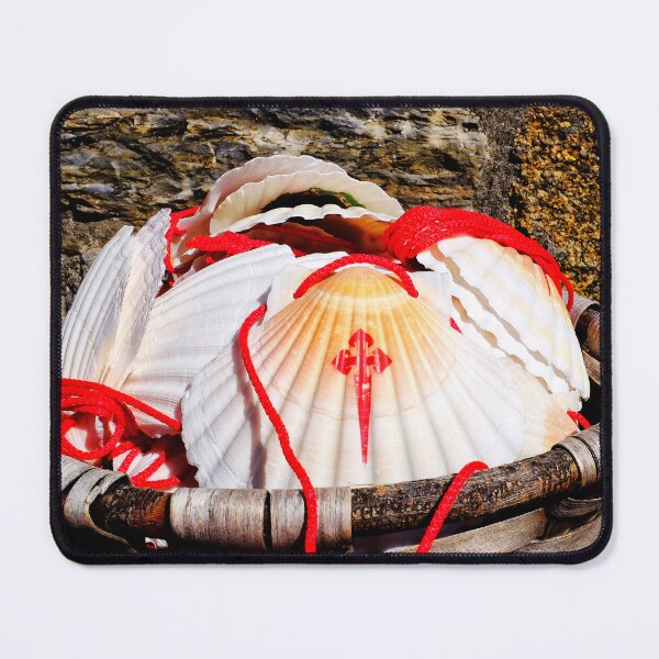 Item preview, Scallop shell designed and sold by troianifabrizio.