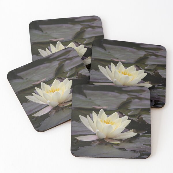Item preview, Water Lilly on the lake designed and sold by StelleryART.