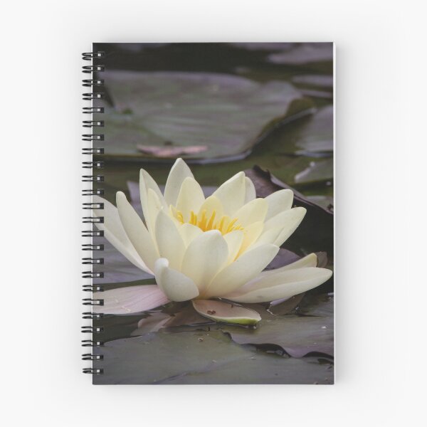 Item preview, Water Lilly on the lake designed and sold by StelleryART.