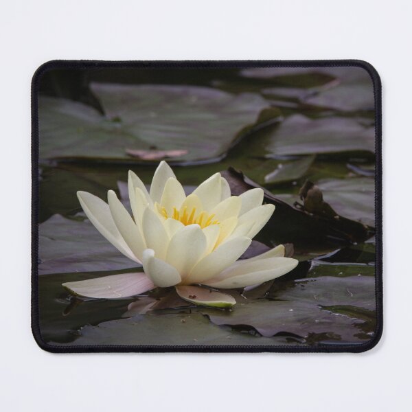 Item preview, Water Lilly on the lake designed and sold by StelleryART.