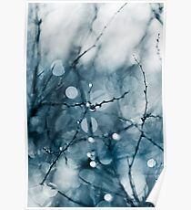 Blue Poster