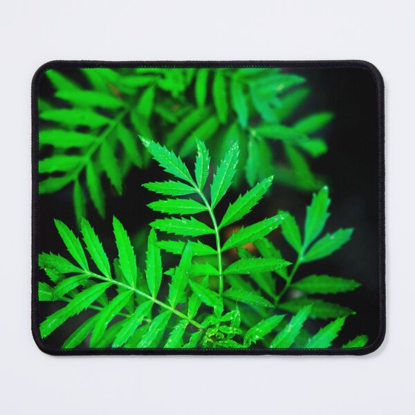 Item preview, Green summer plants on black background designed and sold by olena2552.