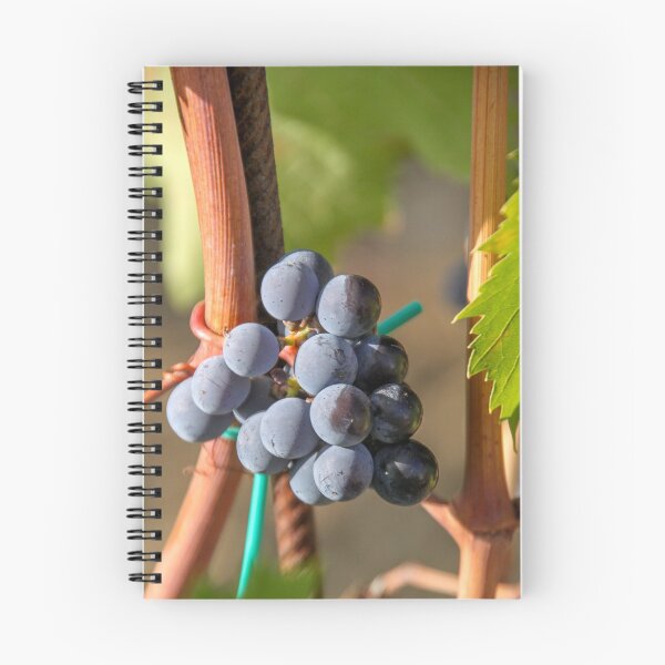 Item preview, Grape Vine designed and sold by ETBtravelphotog.
