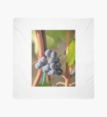 Grape Vine Scarf
