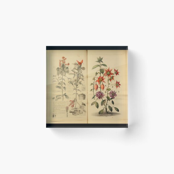 Item preview, Old Plant Drawings of Horticulture and Botany  designed and sold by BrandonArtWorld.