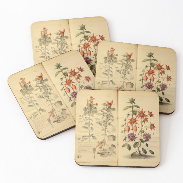 Item preview, Old Plant Drawings of Horticulture and Botany  designed and sold by BrandonArtWorld.
