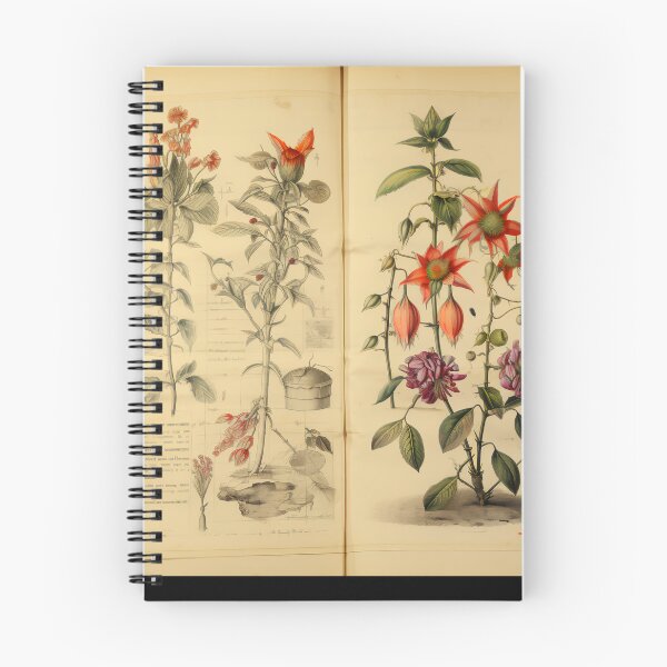Item preview, Old Plant Drawings of Horticulture and Botany  designed and sold by BrandonArtWorld.