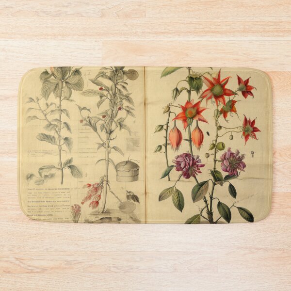 Item preview, Old Plant Drawings of Horticulture and Botany  designed and sold by BrandonArtWorld.