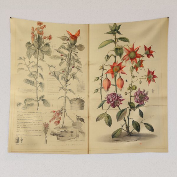 Item preview, Old Plant Drawings of Horticulture and Botany  designed and sold by BrandonArtWorld.