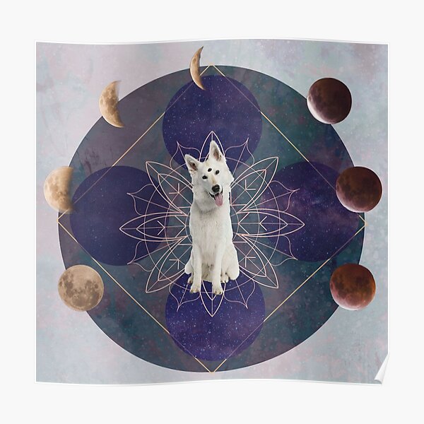DoogyMystic Dog Poster