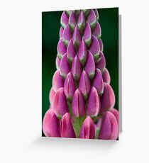Lupin Greeting Card
