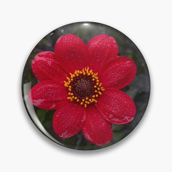 Item preview, Dahlia in a Summer Mist designed and sold by GingerMan2550.