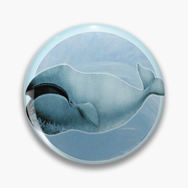Item preview, The Bowhead Whale. Vintage restored and reworked art by Mindthecherry.  designed and sold by MINDTHECHERRY.