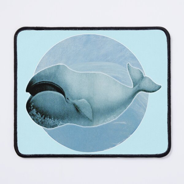 Item preview, The Bowhead Whale. Vintage restored and reworked art by Mindthecherry.  designed and sold by MINDTHECHERRY.