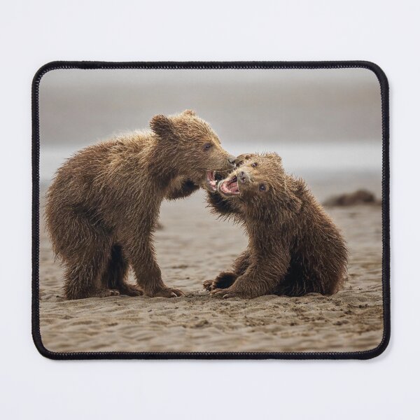 Item preview, Two Bear Cubs Wrestle in Alaska designed and sold by PhotoArt by Joan Carroll.