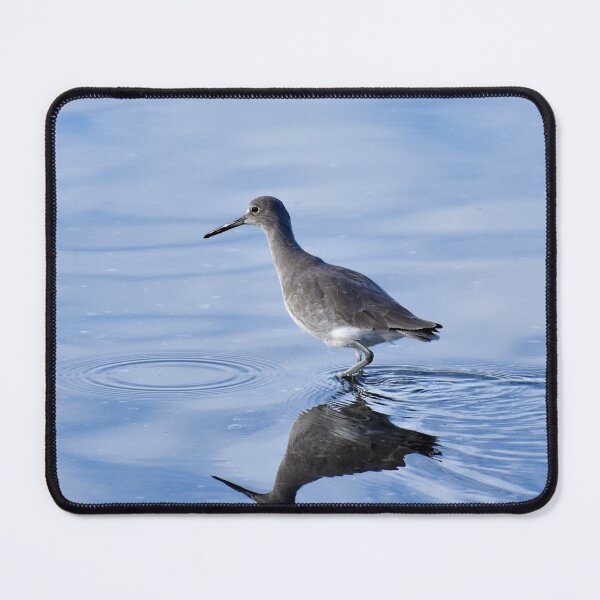 Item preview, Shore Bird and Its Shadow designed and sold by Eleu Tabares.