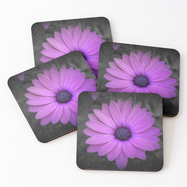Item preview, Osteospermum Flower designed and sold by Marie Clapton.