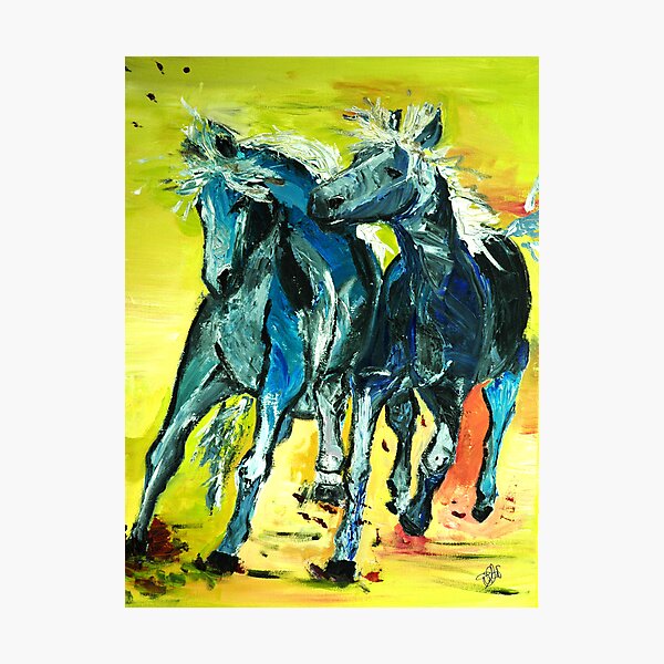 blue buddies Photographic Print