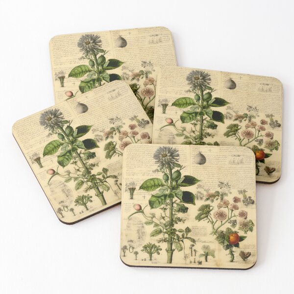 Item preview, Old Plant Drawings of Horticulture and Botany  designed and sold by BrandonArtWorld.