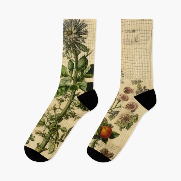 Item preview, Old Plant Drawings of Horticulture and Botany  designed and sold by BrandonArtWorld.