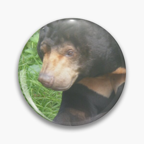 Item preview, Sun bear designed and sold by sianemily.