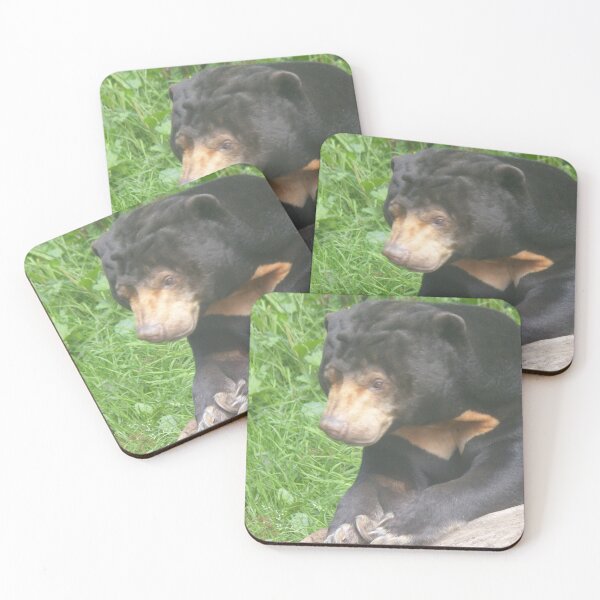 Item preview, Sun bear designed and sold by sianemily.
